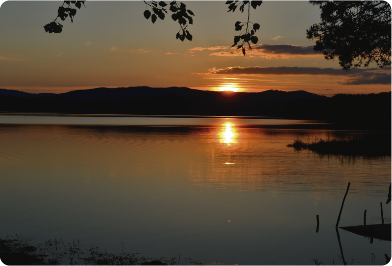 Sumava národní park notebook obtisk - TenStickers