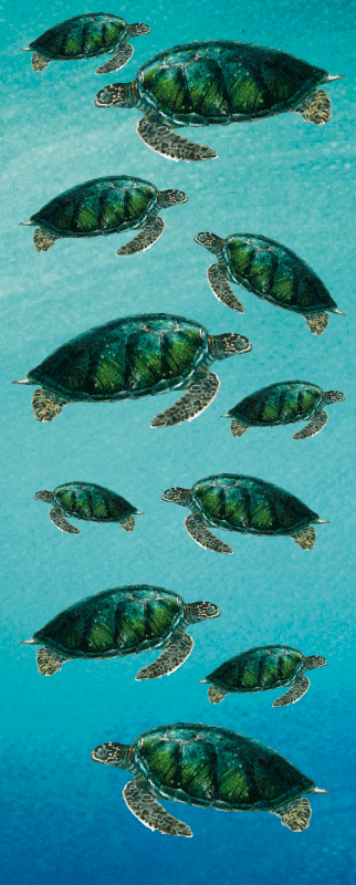 úszó tengeri teknősök matrica ajtók - TenStickers