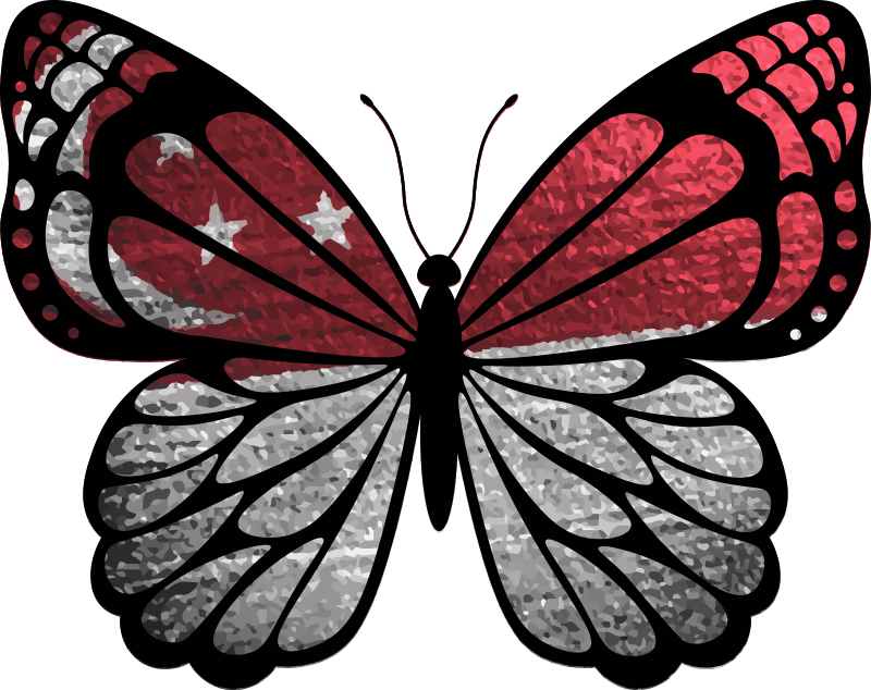蝴蝶与新加坡国旗，题为墙贴花 - TenStickers