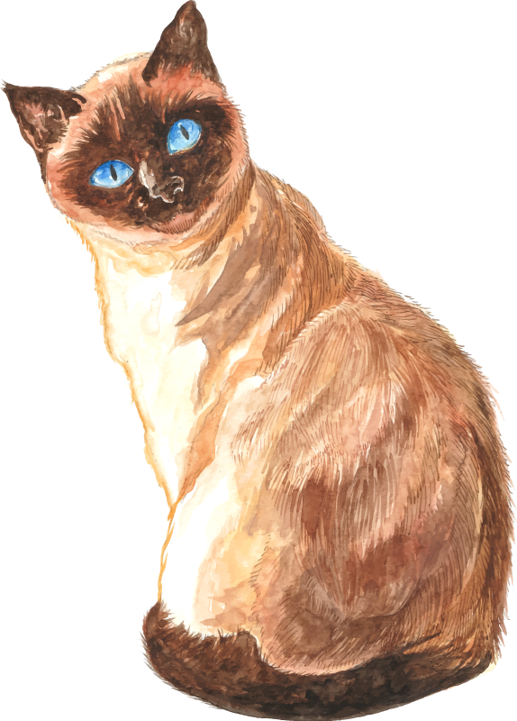 Autocolante decorativo para PC Cabeça de gato realista - TenStickers