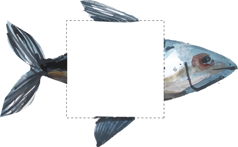 Naklejka na kontakt pokrywa przełącznika ryb - TenStickers