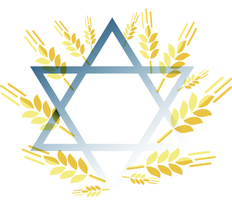 Star of David Jewish wall sticker - TenStickers