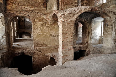 Vinilo decorativo ruinas hayvan çıkartması - TenStickers