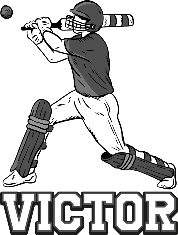 Cricket icon vector isolated on white background, logo concept of Cricket  sign on transparent background, black filled symbol Stock Vector | Adobe  Stock