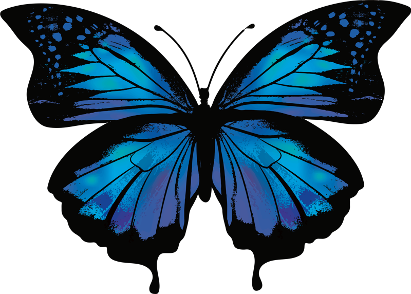 residentie Afgeschaft Afwijzen Vlinder stickers Mooie en kleurrijke vlinders - TenStickers