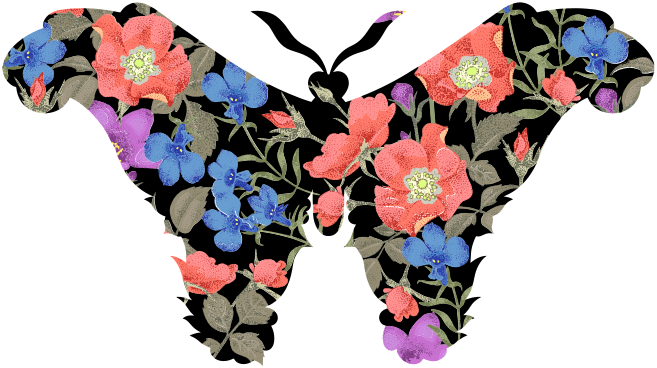 原始蝴蝶蝴蝶贴纸 - TenStickers