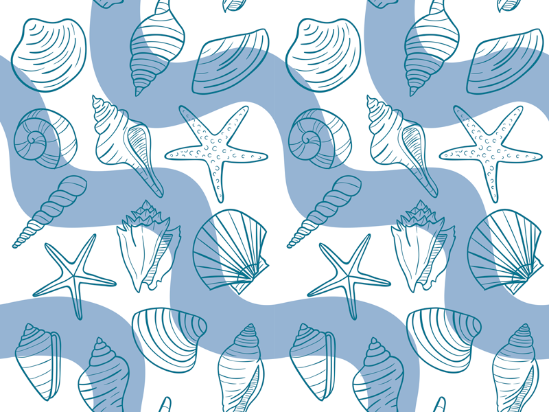 Naljepnica namještaja školjke - TenStickers