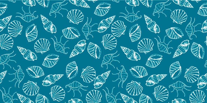 Seashell animals furniture sticker - TenStickers