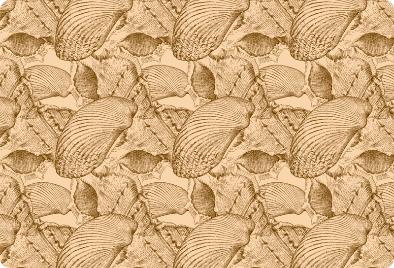 Vinilo para portátiles patrón conchas vintage - TenVinilo