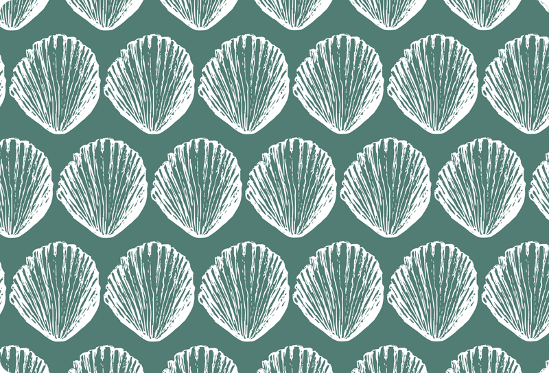 Laptop Aufkleber muschelmotiv-arrangement - TenStickers