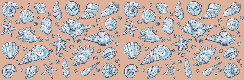 貝殻スケッチ家具ステッカー - TENSTICKERS