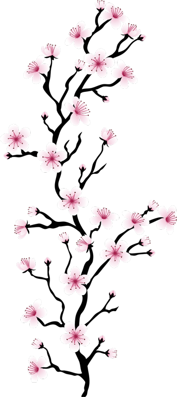 Japanische kirschblüten - Aufkleber TenStickers Blume