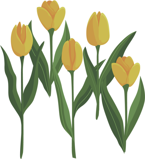 Wandtattoo Blume 5 Gelbe Tulpen Tenstickers