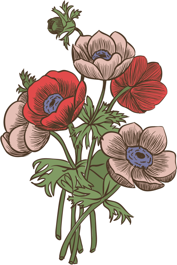 Grand sticker fleurs de coquelicot poppies Couleur multicolore