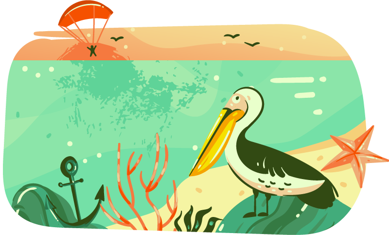 Pelican beach Australia map wild animal decal - TenStickers