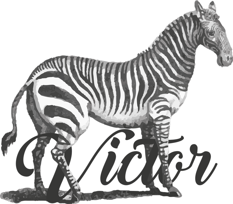 Customized name Zebra Illustration sticker