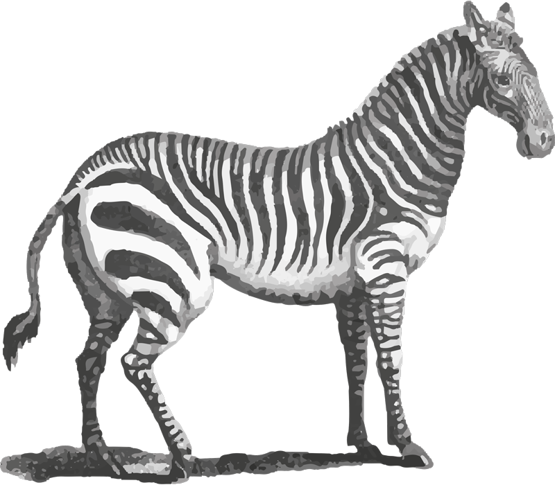 动物贴画 斑马动物形象 - TenStickers