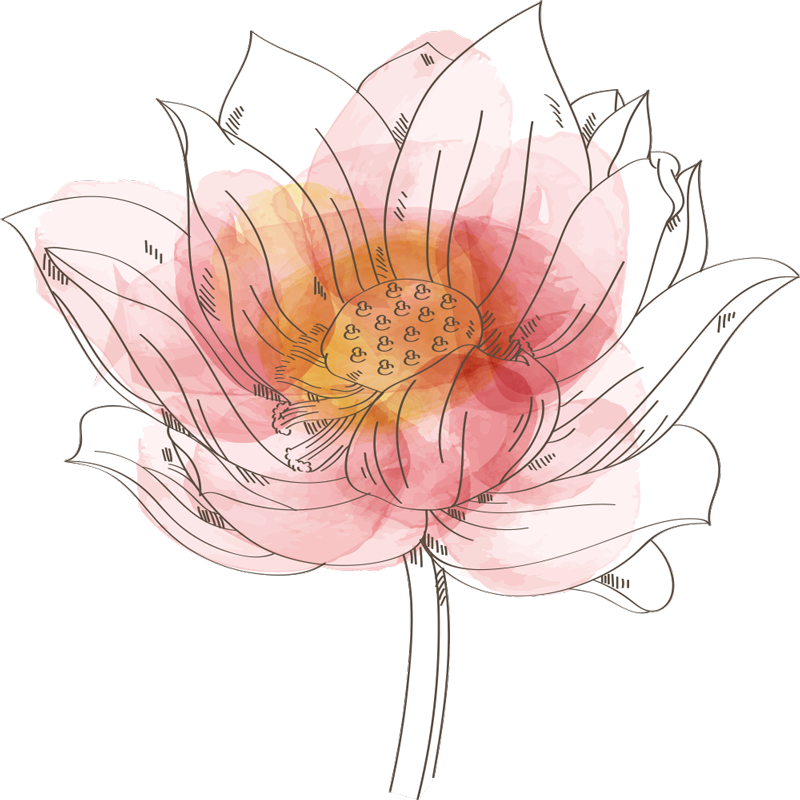 Lotus Lilly watercolour flower wall decor - TenStickers
