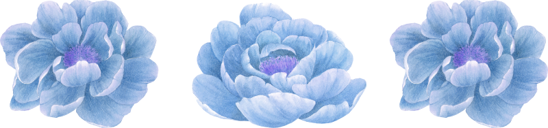 Vinilo de flores pack 3 peonías azules - TenVinilo