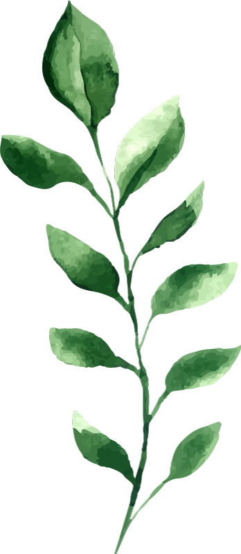 Variety of leaves plant decals - TenStickers