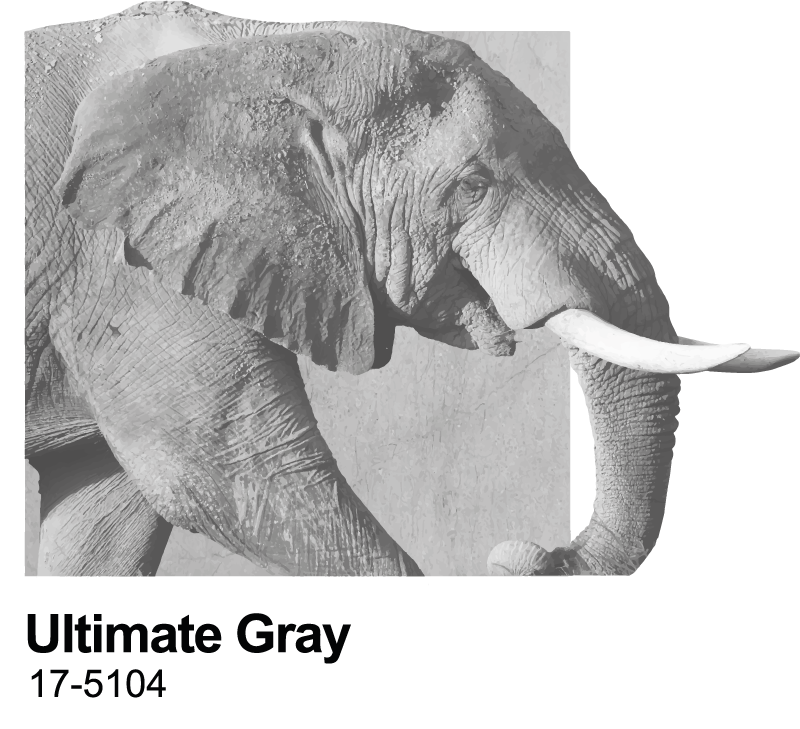 Vinilo animales salvajes pantone ultimate gris - TenVinilo