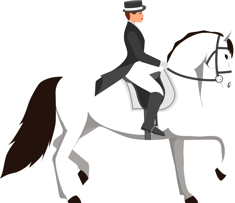 Laptop Aufkleber Lipizzaner weißes pferd - TenStickers