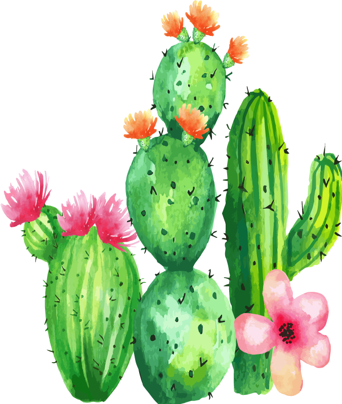 American Style Resin Cartoon Cactus Shape Strong Stickiness Wall