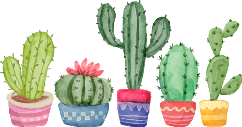 Desenho de Cactaceae, bola de cacto, cartaz, bola de discoteca png