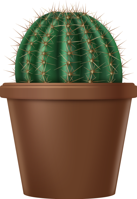 Stickers muraux effet 3D - 3D plantes d'intérieur et cactus