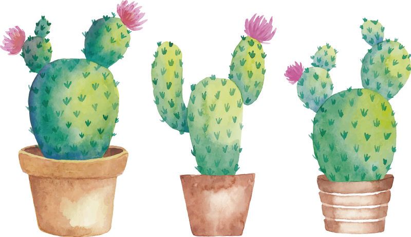 Stickers muraux plantes cactus aquarelles