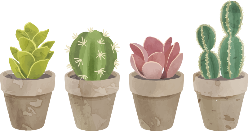 Vinilo o funda para iPhone Flores de cactus transparente transparente –  HoolaBoutique