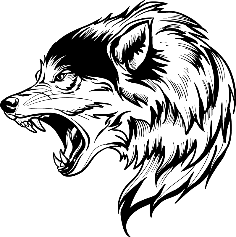 Carnivora Drawing Line art Skull Sketch, angry wolf face, angle, white,  mammal png | PNGWing
