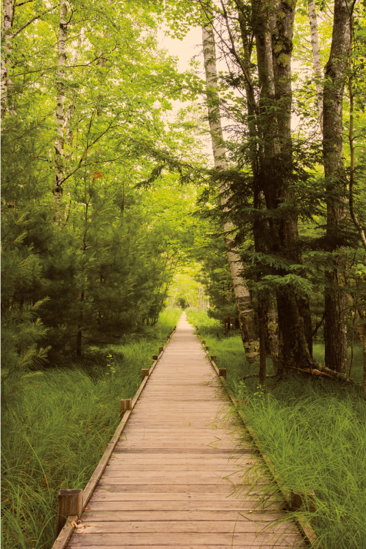 Pastoral ağ geçidi seyahat çıkartması - TenStickers