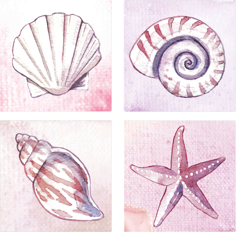 Fliesenaufkleber Meeresleben fliesen - TenStickers