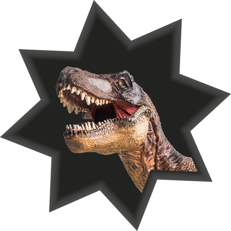t-rex in 3D effect dragon wall decal - TenStickers
