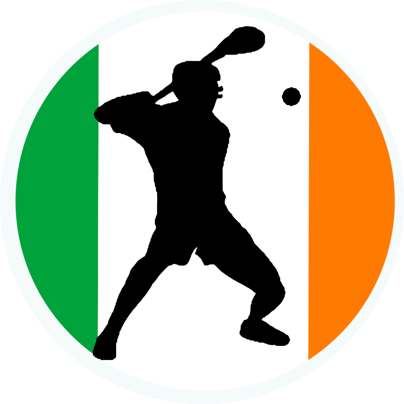Hurling Irish Flag wall decal - TenStickers