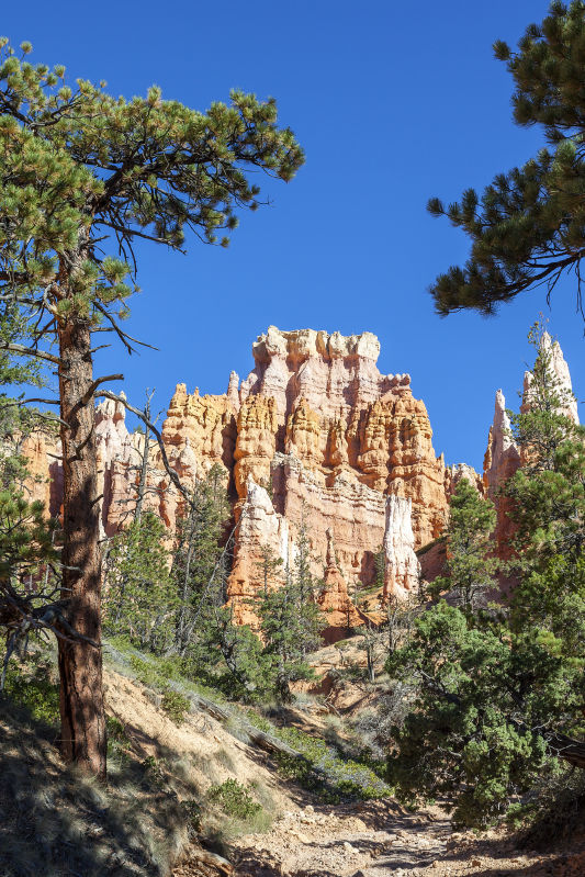 Bryce Canyon fridge sticker - TenStickers