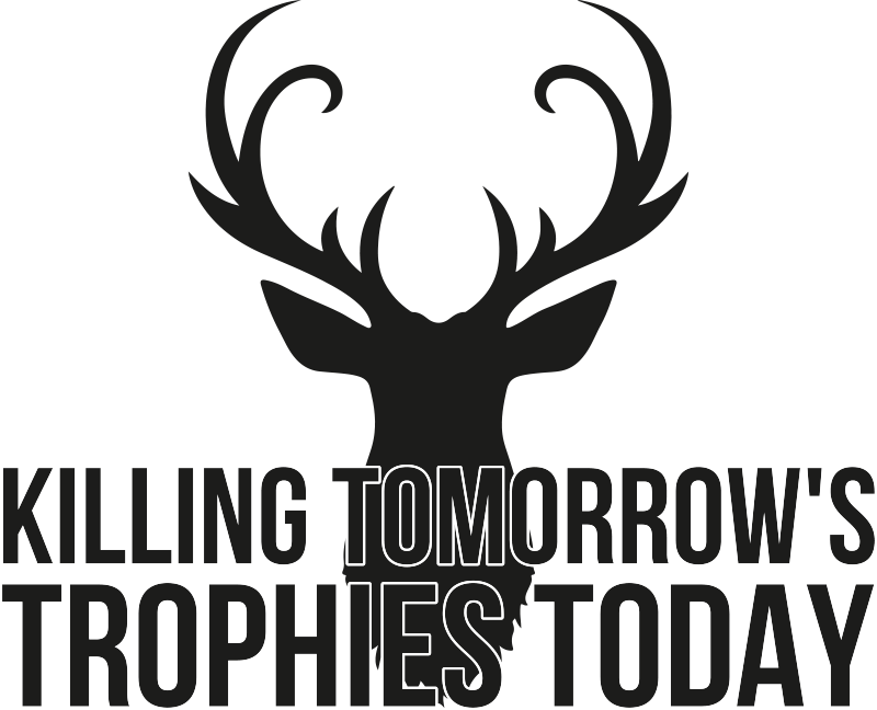 Killing tomorrow's trophies wall sticker - TenStickers