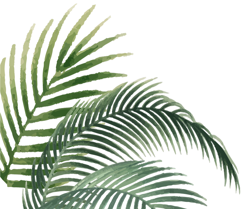 Leaf corner sticker plant wall sticker - TenStickers