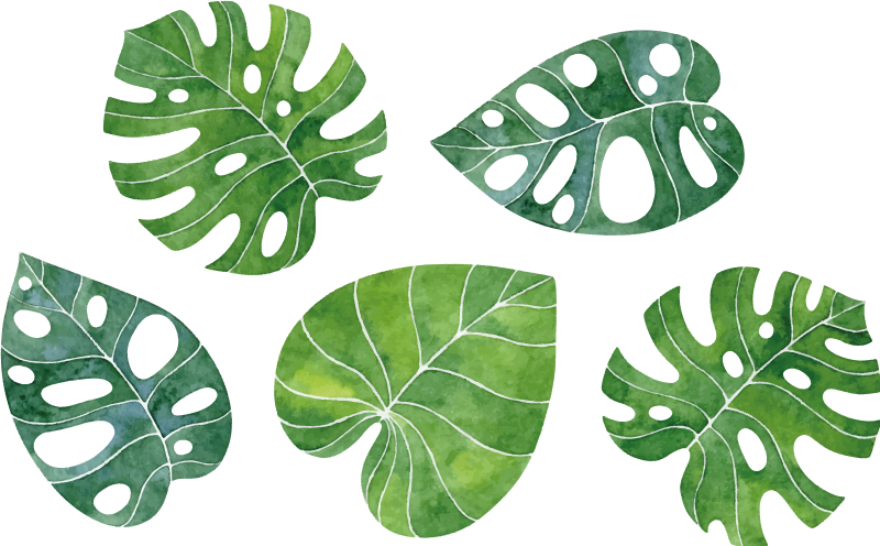 Leaf watercolour variety plant wall sticker - TenStickers