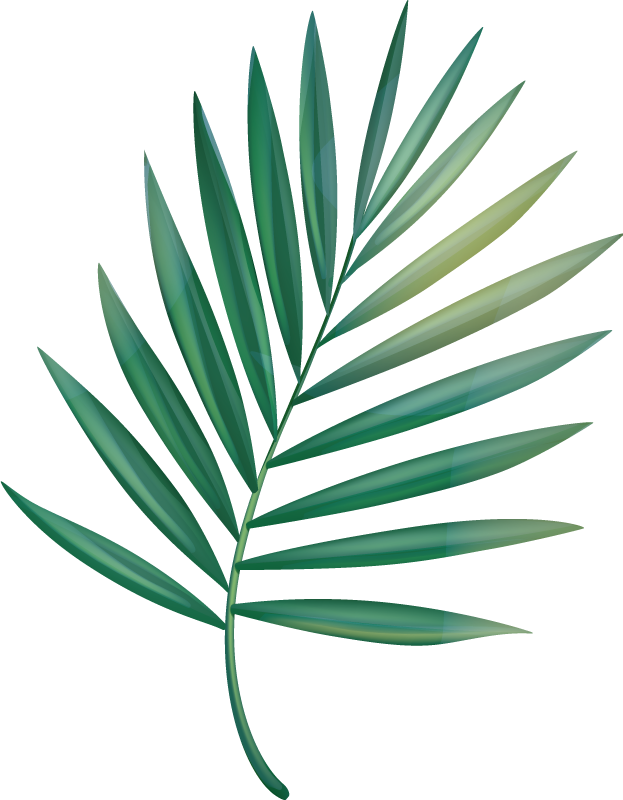 Leaf palm shower screen sticker - TenStickers