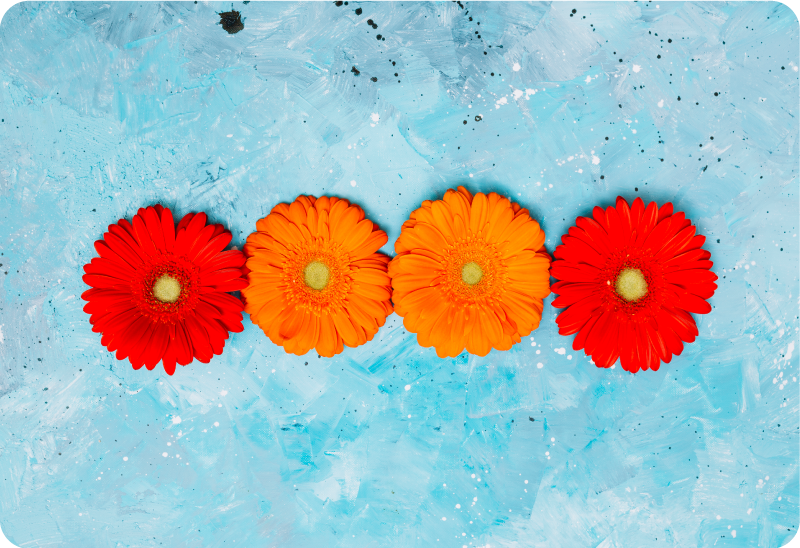 Folie buntes blumenarrangement - TenStickers