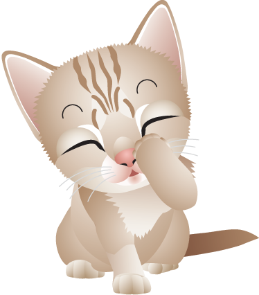 Gatinho fofo png