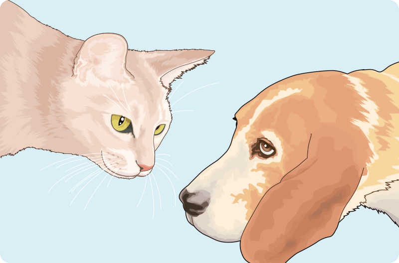 Autocolante decorativo cão e gato Gato-realista - TenStickers