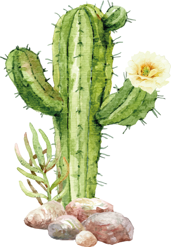 Ralistic sober cactus plant decal