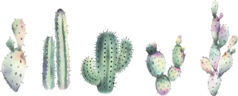 Ralistic sober cactus plant decal