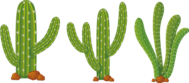 Three green sober cactus plant decals - TenStickers