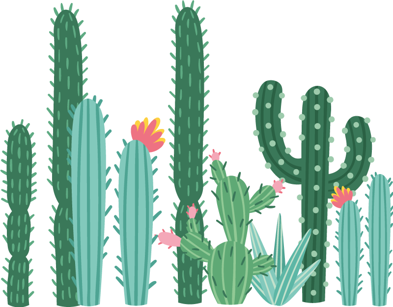 Plantas Vinil Pequeno jardim de cactos - TenStickers