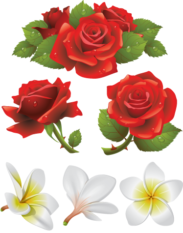 Kolekce květinových obtisků - TenStickers