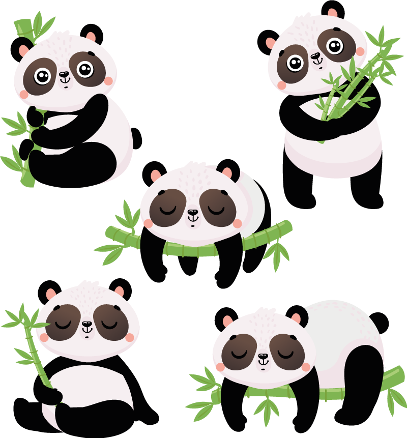 Panda fofo urso fofura, desenhos animados de panda, rosto, animais png
